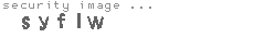 security code